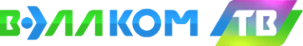 Логотип компании ВЭЛЛКОМ-ТВ
