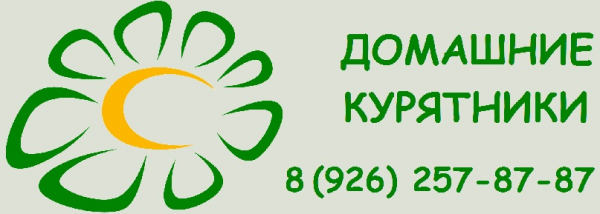 Логотип компании Радомир